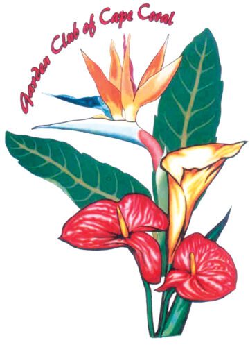 Garden Club of Cape Coral, Hibiscus Society selling plants at Tropical Plant Sale Saturday